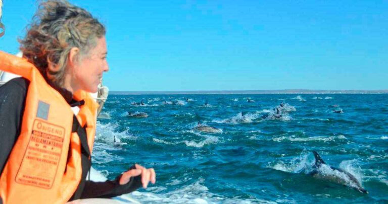 video:-un-paseo-para-conocer-a-los-delfines-que-son-fieles-al-golfo-mas-azul