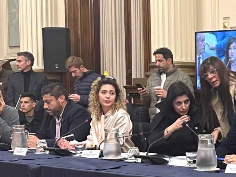 la-diputada-libertaria-lourdes-arrieta-fue-a-reunion-de-comision-con-un-patito-viral-en-la-cabeza