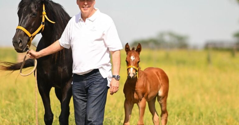 Una firma argentina vuelve a revolucionar el negocio de los caballos de polo