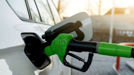 Biodiesel: Por qué el gobierno mantiene pisado el precio por debajo de los costos de producción