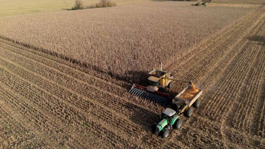 Reseteo agropecuario: rentabilidad en la cuerda floja