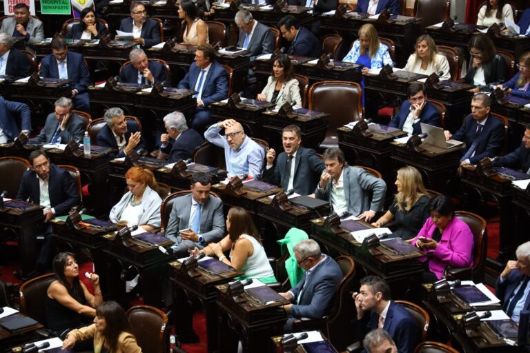 Diputados, en vivo: la sesión por la suspensión de las PASO hoy, minuto a minuto