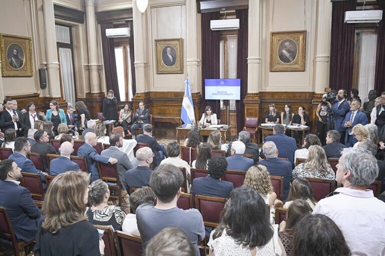 Dictamen del Senado para la suspensión de las PASO