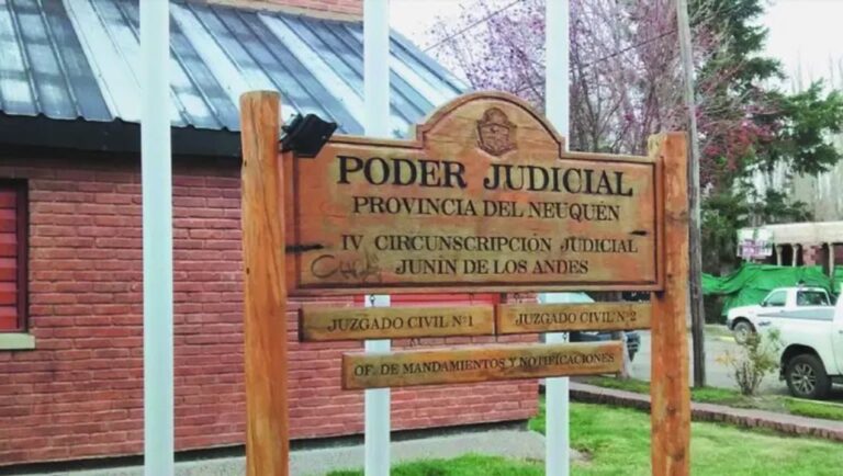Insólito: quebrantó una medida perimetral, golpeó a su ex y quedó en libertad