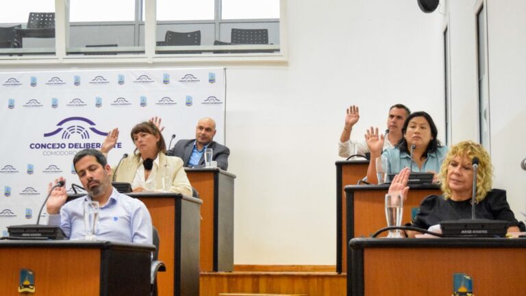 Higiene urbana: el Concejo aprobó los pliegos en primera lectura