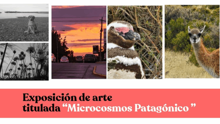 La Patagonia íntima: mujeres fotógrafas revelan su mirada en una nueva muestra colectiva