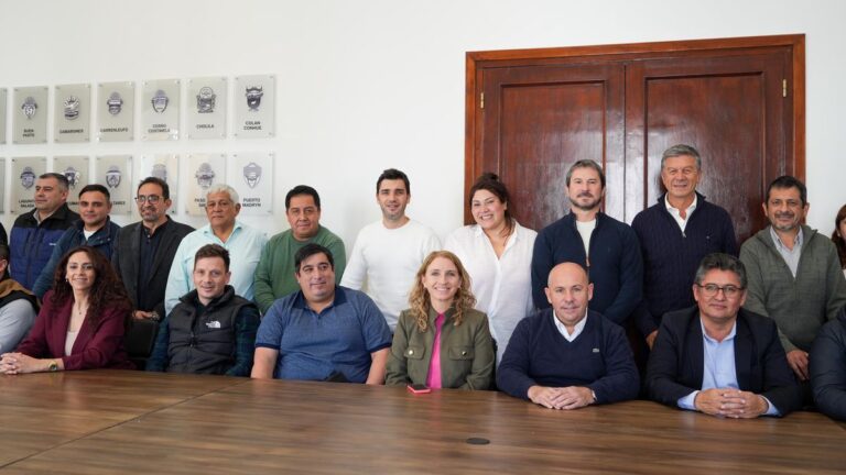 Municipios buscan unificar pautas para el cobro de Ingresos Brutos