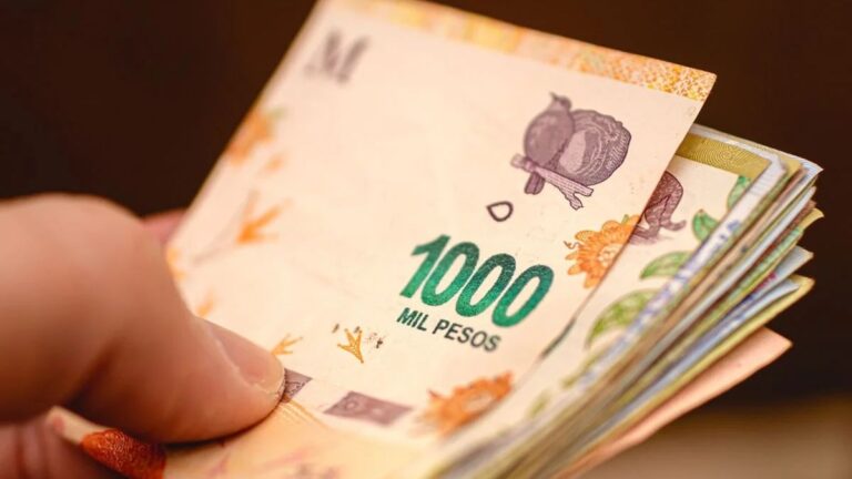 Subió el Salario Mínimo, Vital y Móvil: cómo quedó en junio