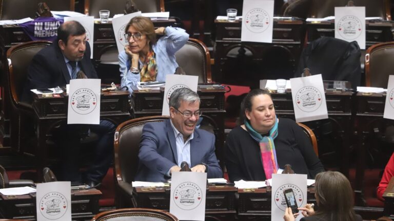 Diputados: se aprobó la ley de emergencia en Discapacidad por amplia mayoría