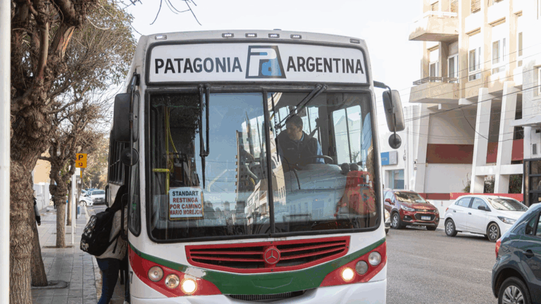 Modificaron los recorridos de las líneas 13 y 8 del transporte público