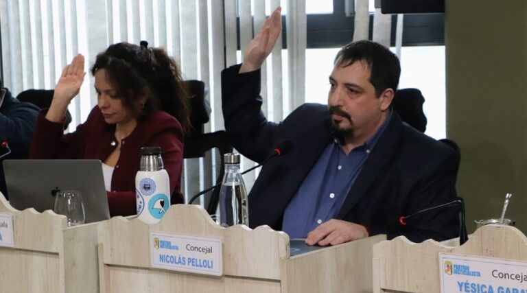 Pelloli: Es oposición por la oposición misma