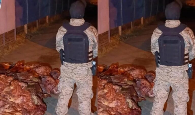 Decomisaron 450 kilos de carne de faena clandestina en una ruta patagónica