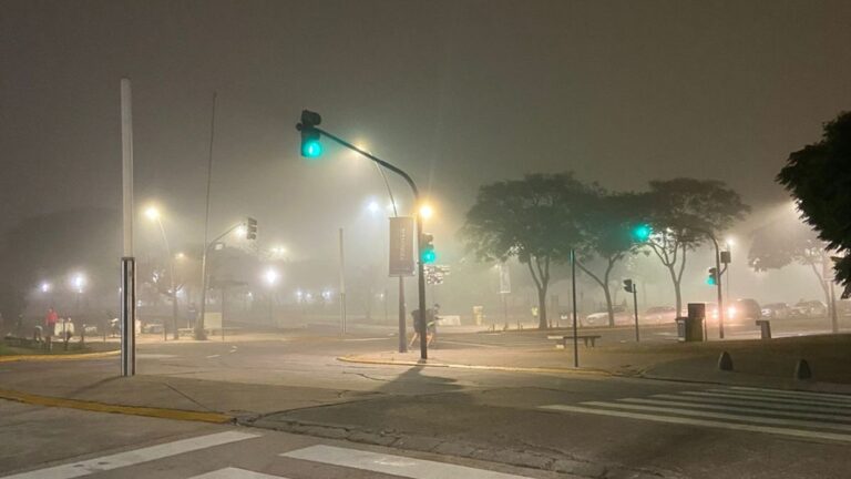 Alerta por niebla en Buenos Aires: cuándo se irán las neblinas, según el informe del SMN