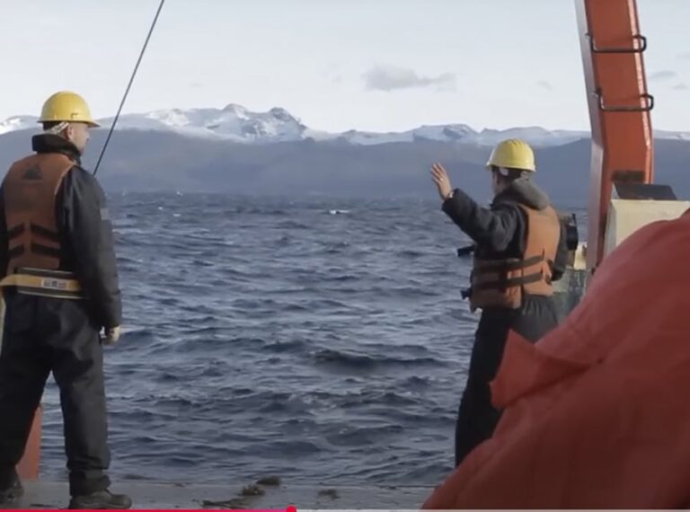 Apuran plan de manejo para la captura de merluza negra