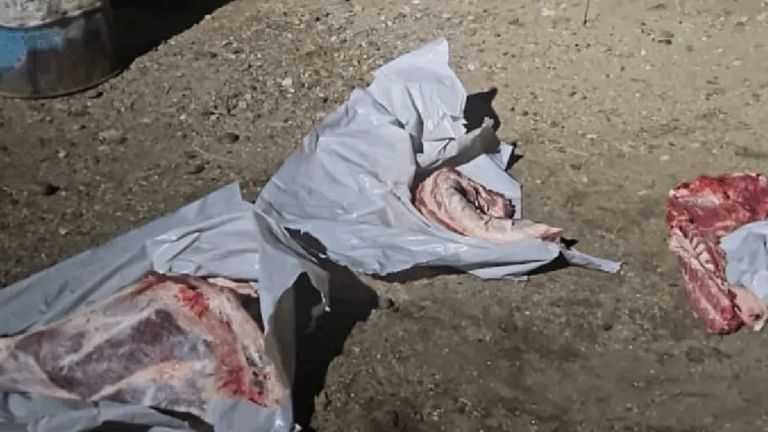 Secuestran 70 kilos de carne sin habilitación sanitaria en un control en Diadema