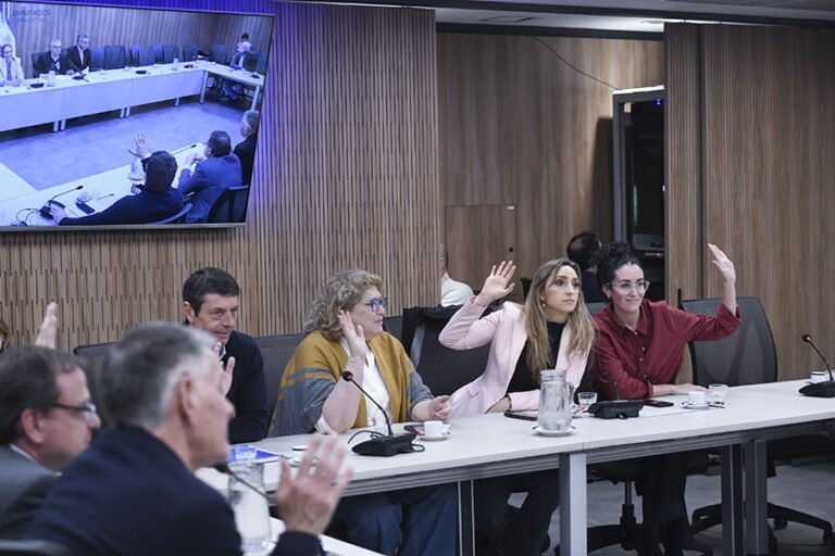 Comienza el debate de proyectos de coparticipación