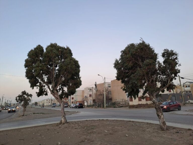 Tras el temporal de viento, las ráfagas no superarían los 59 km/h este sábado en Comodoro