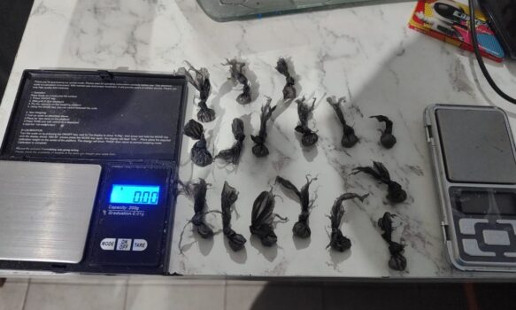 Importante operativo antidroga con dos detenidos en Comodoro Rivadavia