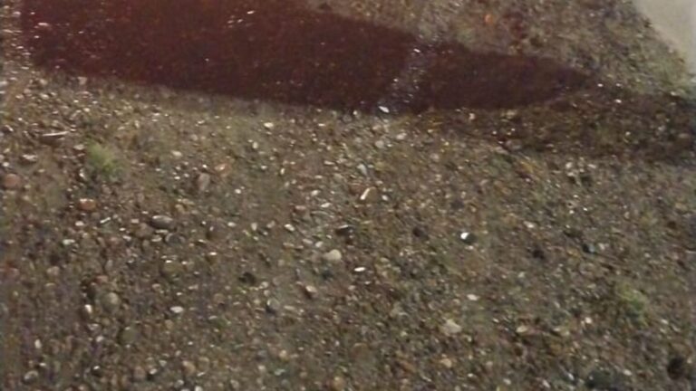 Conductor alcoholizado perdió el control del vehículo