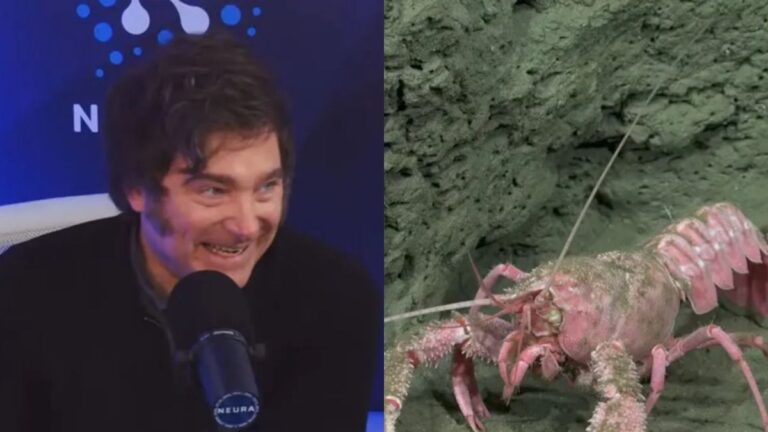 La entrevista a Javier Milei de Alejandro Fantino tuvo menos rating que el streaming del CONICET desde el fondo del mar