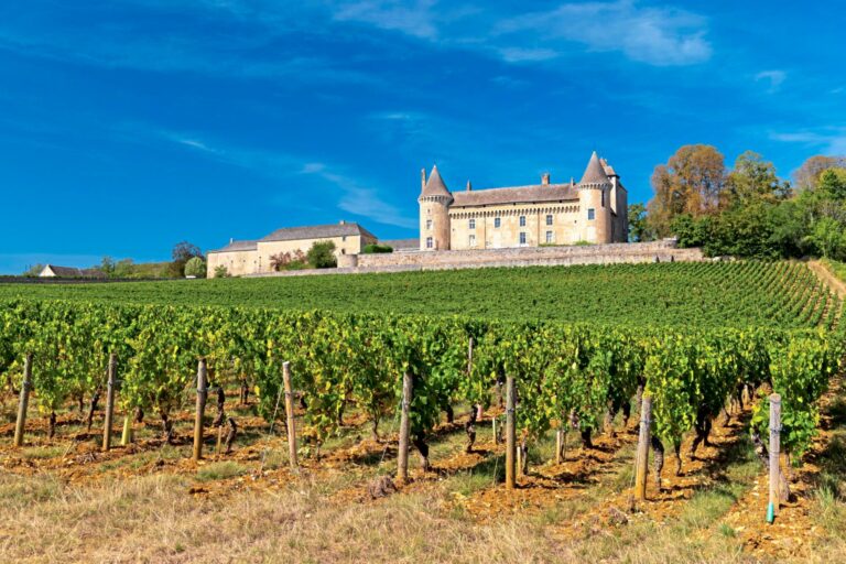 Día del Pinot Noir: el vino más buscado que es, también, el más caro del momento y estrella de las subastas