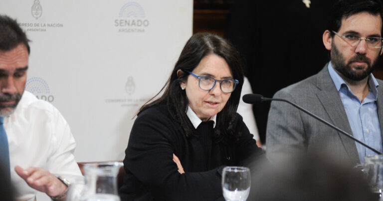 Polémicos dichos de una senadora del PRO: «No creo que los niños argentinos tengan derecho a venir al Garrahan a ser curados»