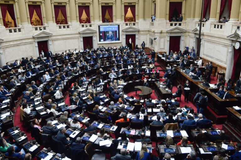 Diputados rechazó el veto de Milei a la deficitaria Ley de Emergencia en Discapacidad
