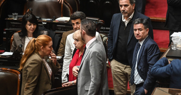 En el Gobierno anuncian la judicialización de la emergencia en discapacidad y celebran el blindaje del veto a la ley de jubilaciones