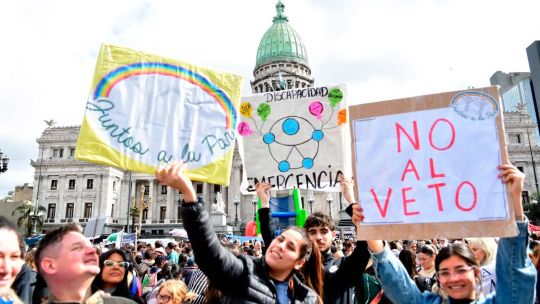 Ley de emergencia en discapacidad: Diputados rechazó el veto de Milei y el Senado tendrá la última palabra