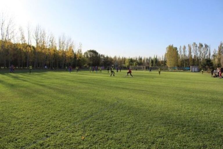 Un jugador de 58 años murió tras descompensarse en pleno partido en un torneo patagónico