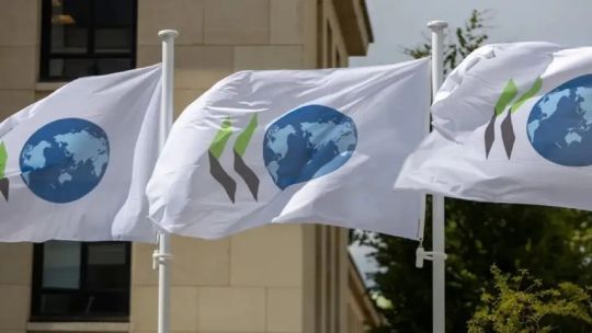 En qué estado se encuentra el proceso de acceso de Argentina a la OCDE
