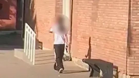 Crisis en Mendoza: el 40% de los estudiantes agredidos no informan sobre el bullying