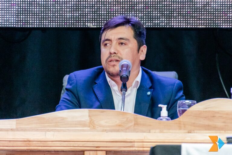 Harrington criticó al Concejo por ralentizar la gestión