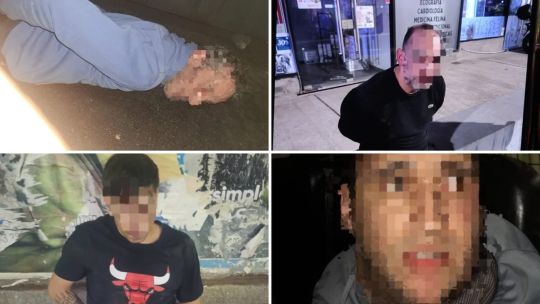 Persecución de película en Panamericana: huyeron asustados por los perros, chocaron y los atrapó la Policía