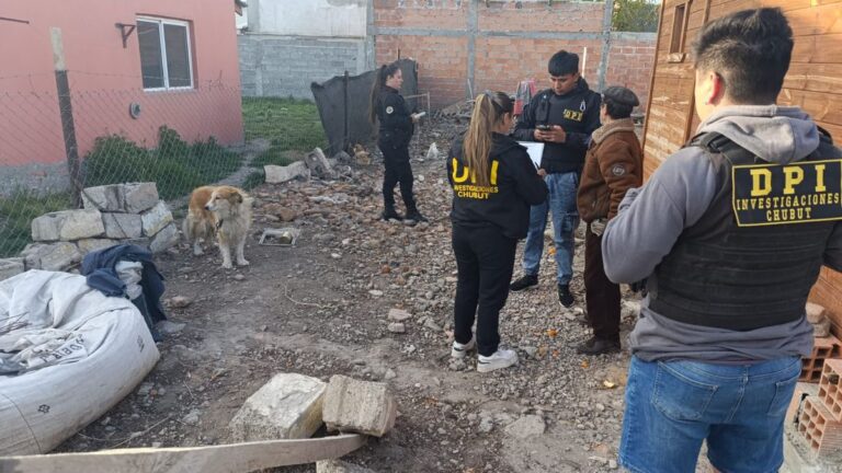 Allanaron una vivienda por un caso de maltrato animal