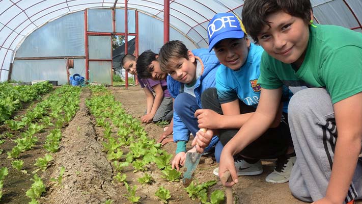 Chubut tendrá un Bachillerato en Energía y Sustentabilidad