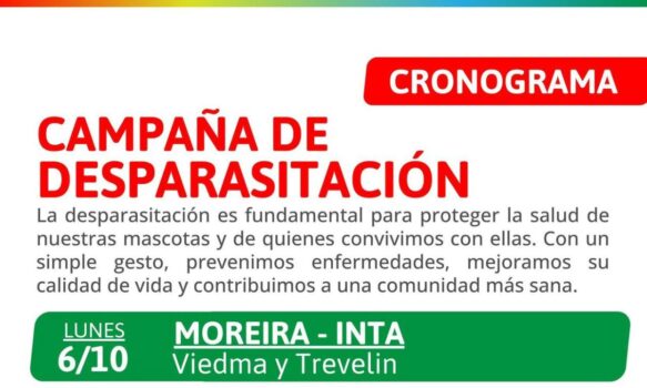 Salud animal: está en marcha la campaña gratuita de desparasitación en los barrios de Trelew
