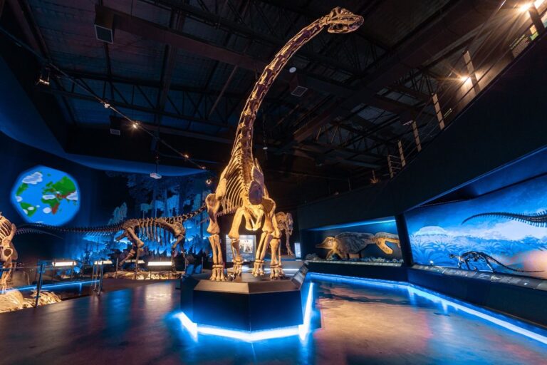 Cómo estará el clima en las principales ciudades de Chubut durante el fin de semana largo