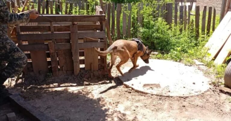 «Un cuerpo dentro de bolsas de arpillera»: revelan nuevos detalles del crimen de Gabriela Barrios en Chaco