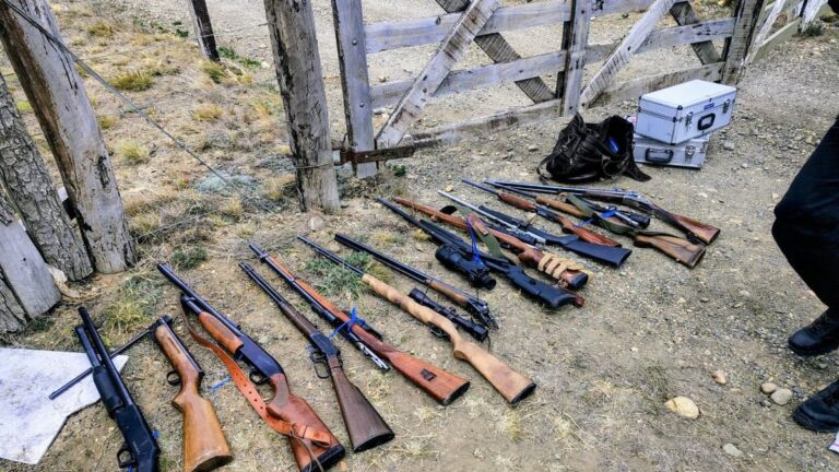 Recuperan armas sustraídas en una chacra de zona rural
