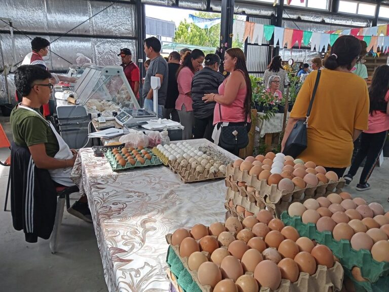 Se viene la Feria de la Estepa en Km.17 con productos frescos, carnes baratas y la visita de Papá Noel