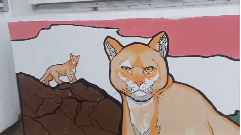 Alumnos de la Escuela Nº183 pintaron un mural de fauna patagónica: un proyecto que articuló contenidos del aula con la identidad chubutense