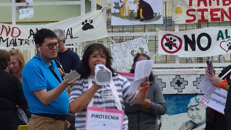 Masiva concentración para exigir «pirotecnia cero»