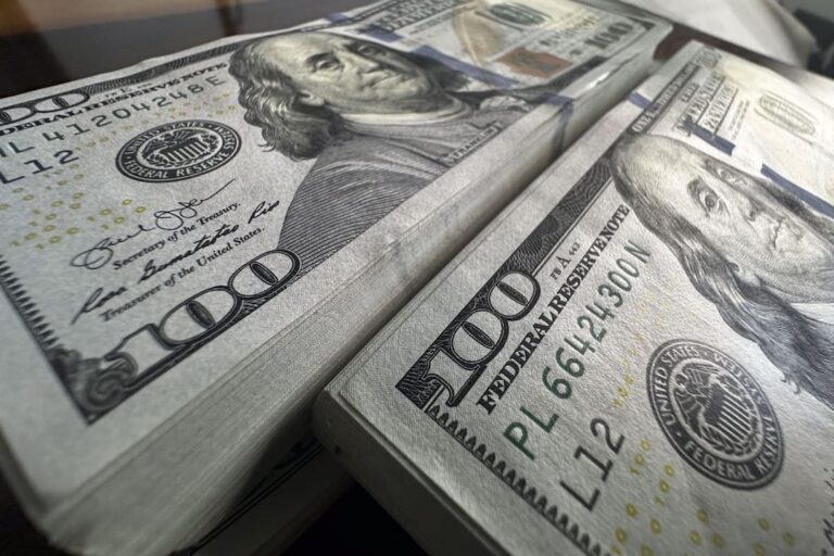 Dólar oficial y blue: a cuánto cotizaron en el último día hábil del año?