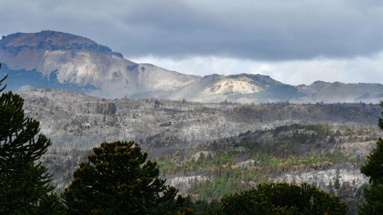 El Hoyo: el intendente admitió que «todos los años pasa lo mismo»