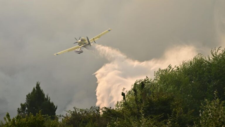 El fuego ya arrasó con casi 12 mil hectáreas