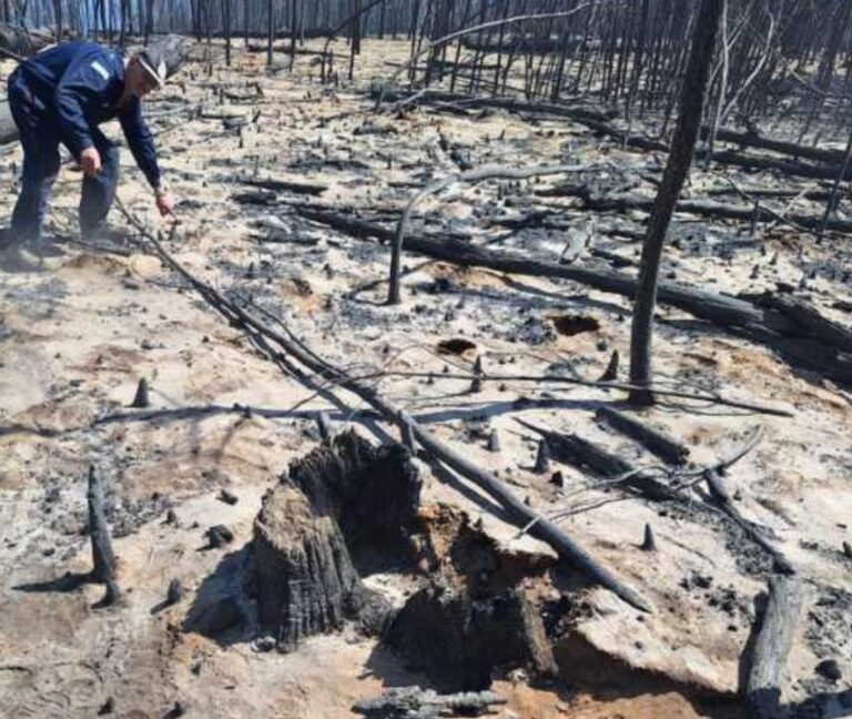 Un conflicto por tierras dentro de una comunidad, la hipótesis detrás de los incendios en Puerto Patriada