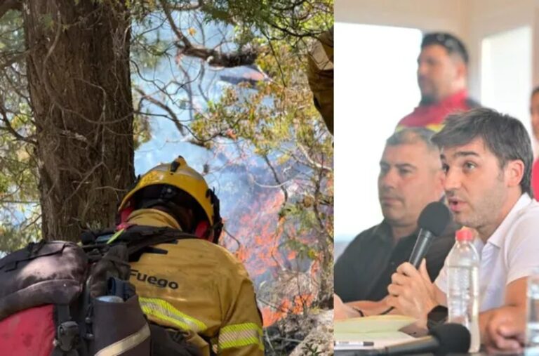 Torres pidió avanzar con una Ley de Ecocidio, con penas de prisión efectiva para quienes provocan incendios