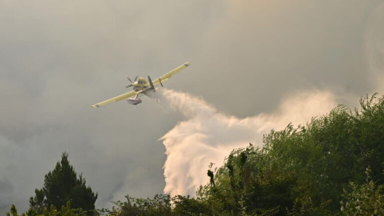 Diputados nacionales insisten en que se declare la emergencia en Patagonia
