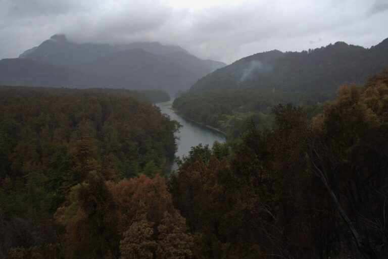 Incendio forestal en Los Alerces: se espera una jornada de extrema complejidad para el combate